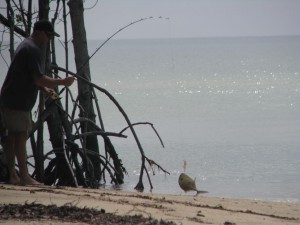 Trevally