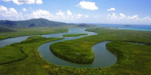 Daintree River