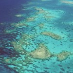 Cape Tribulation reef